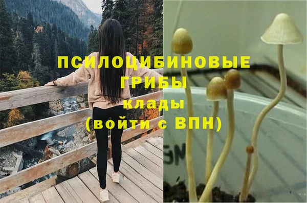 экстази Зерноград
